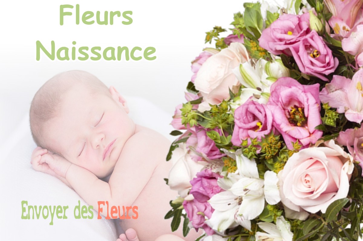 lIVRAISON FLEURS NAISSANCE à LATRILLE